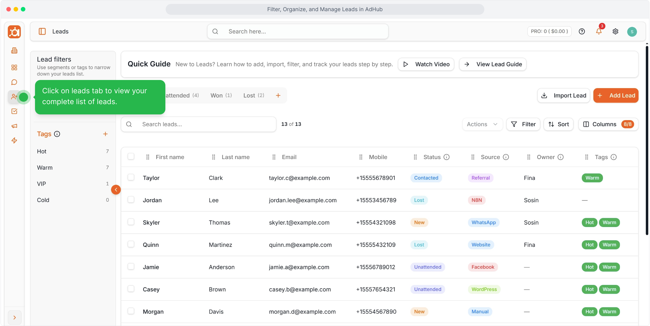 Click Leads in the sidebar